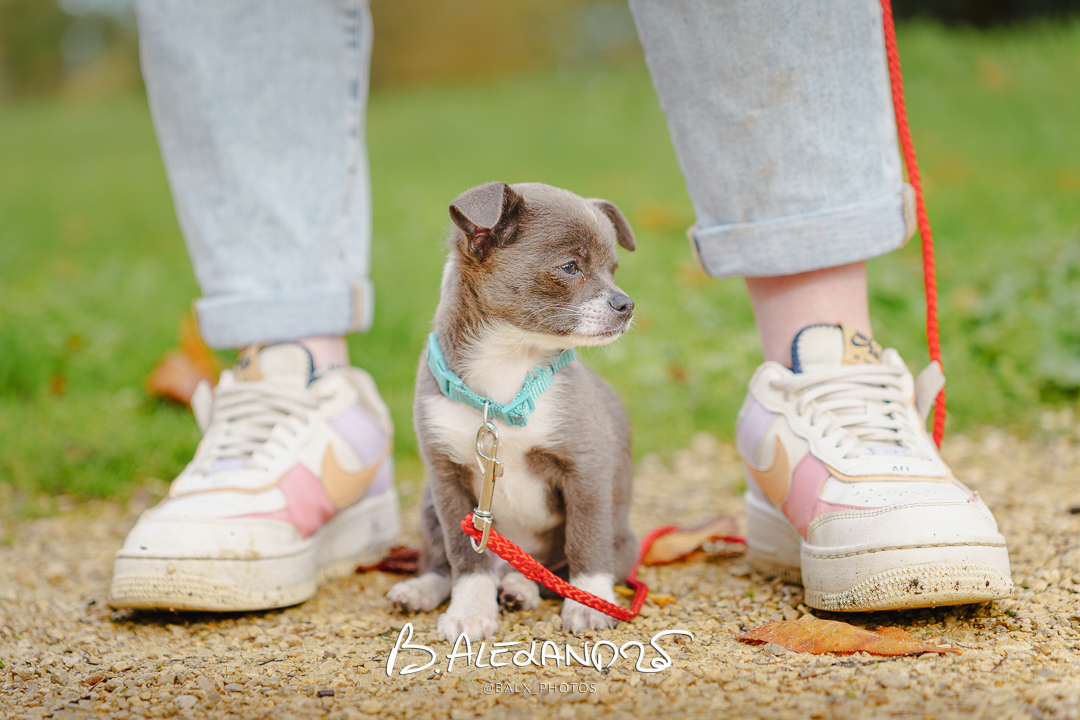 Photo 015 | Bertrand ALEXANDRE – Compagnons